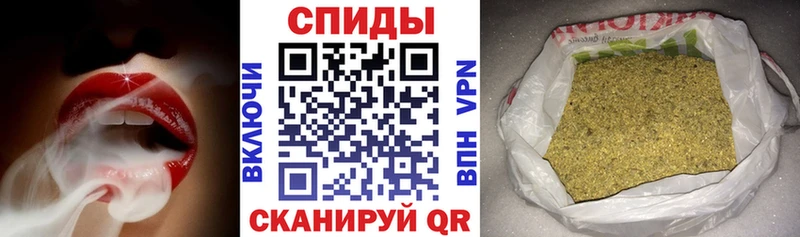 Купить  Красавино  БУТИРАТ буратино 