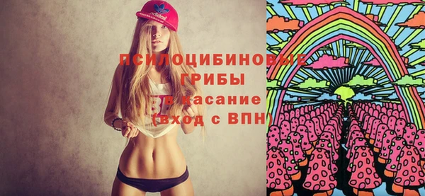 apvp Костерёво