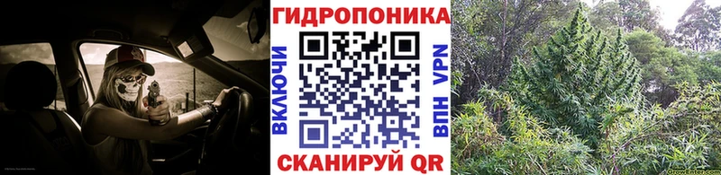 Купить где  Красавино  МАРИХУАНА VHQ 